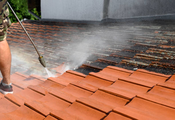 Best Pressure Washing Cost  in Elk Point, SD
